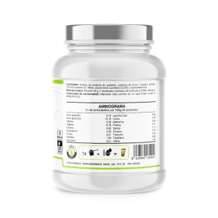 Vegan Protein (Proteína Guisante y Arroz) - Flan vainilla - 500g