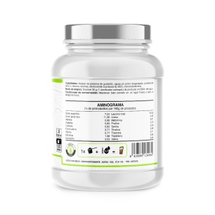 Vegan Protein (Proteína Guisante y Arroz) - Chocolate - 500g