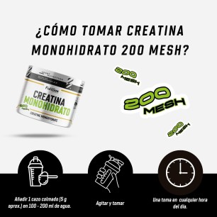 Creatina Monohidrato 200 Mesh en polvo - Neutra - 250g