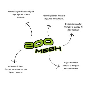 Creatina Monohidrato 200 Mesh en polvo - Neutra - 500g