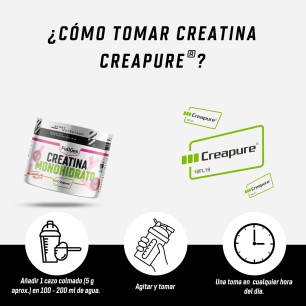 Creapure® (Creatina Monohidrato en polvo) - Bubblegum - 250g