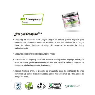 Creapure® (Creatina Monohidrato en polvo) - Bubblegum - 250g