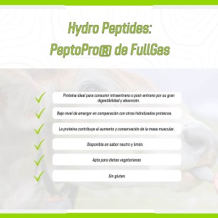 Hydro Peptides (PeptoPro® Hidrolizado Caseína) - Limón - 250g