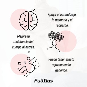 Ashwagandha KSM-66® (300mg) - 60 cápsulas